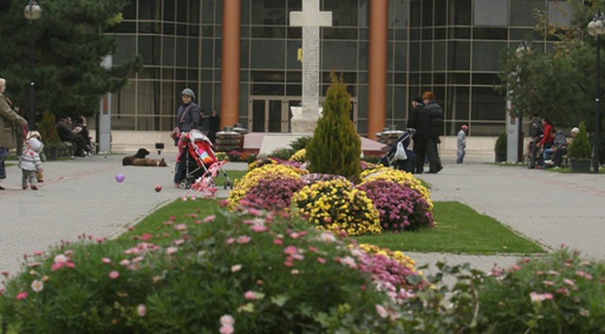 Primăria sectorului 2 în proces cu un ONG 