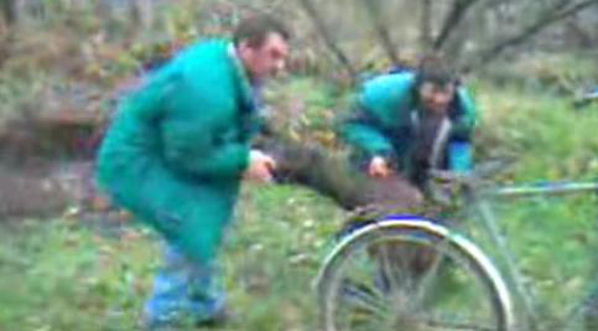 Trebuie neapărat să vezi asta! Râzi mult cu beţivii care vor să ridice o buturugă