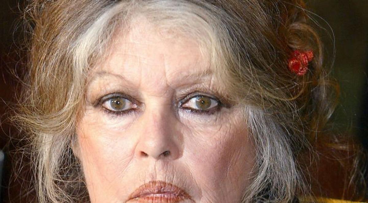 Criza maidanezilor! Brigitte Bardot trimite UN MESAJ preşedintelui ROMÂNIEI, după ce CÂINII VAGABONZI l-au ucis pe IONUŢ