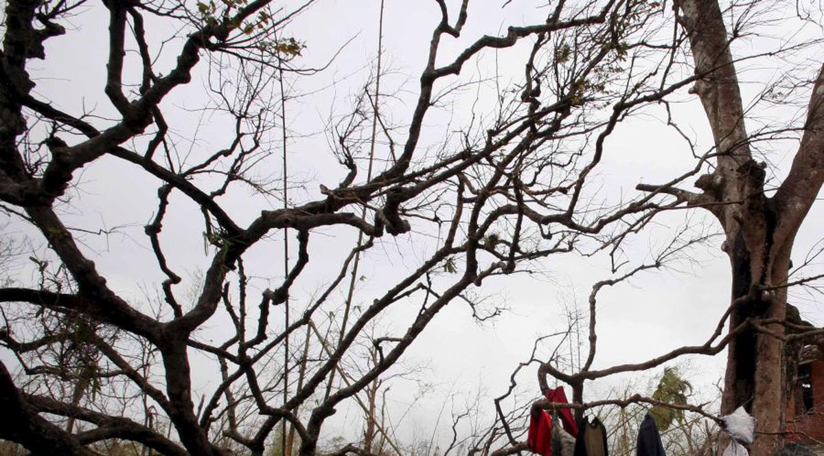 COD ROŞU în India. Aproximativ 250.000 de persoane au fost evacuate înainte de sosirea ciclonului Phailin