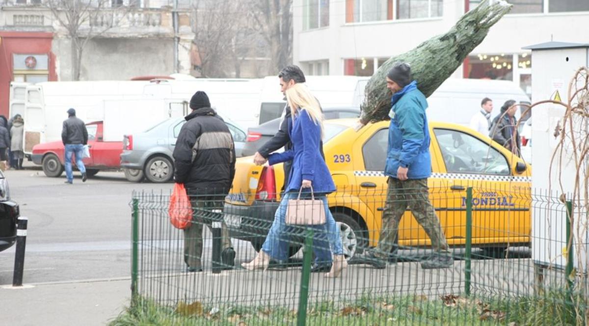 Marcel Toader şi iubita şi-au cumpărat brad. Vezi cum l-au transportat până la maşină!
