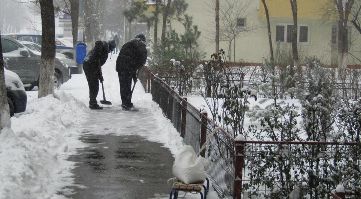 Voluntarii din sectorul 2 au deszăpezit spitalele