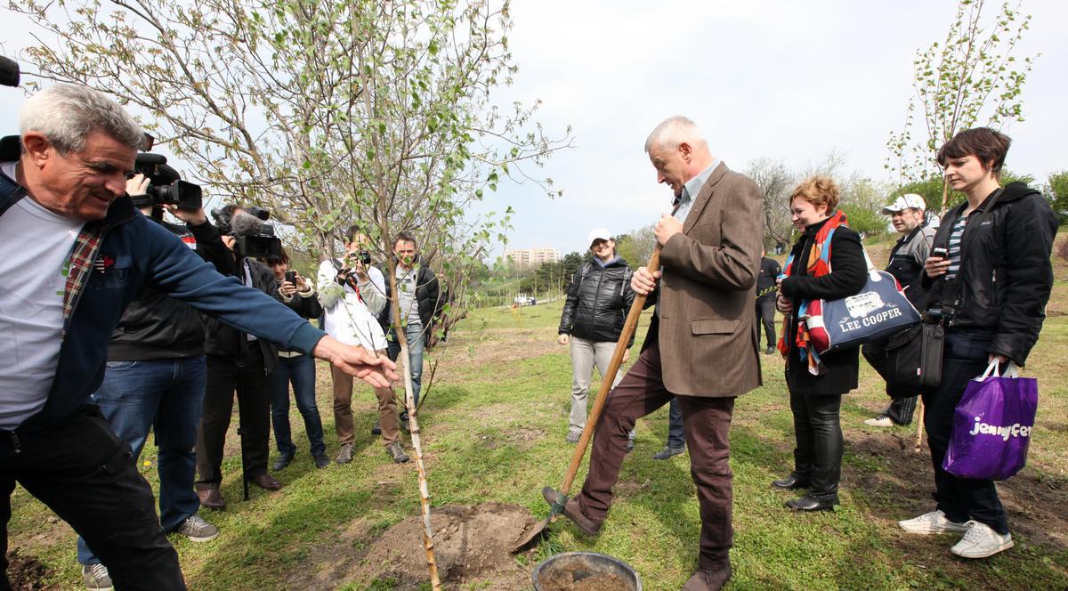 Primarul Sorin Oprescu a plantat copaci- "aspiratori de praf" în parcul Tineretului