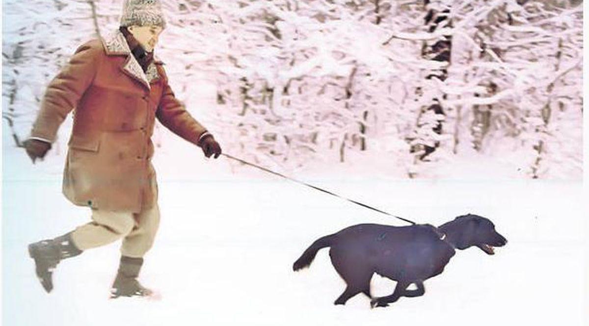 POVEŞTI INCREDIBILE! Fostul ministru Emil Bobu vorbea OFICIAL şi cu ANIMALELE lui Ceauşescu: «Fiţi cuminte, vă rog, TOVARĂŞE Corbu!»