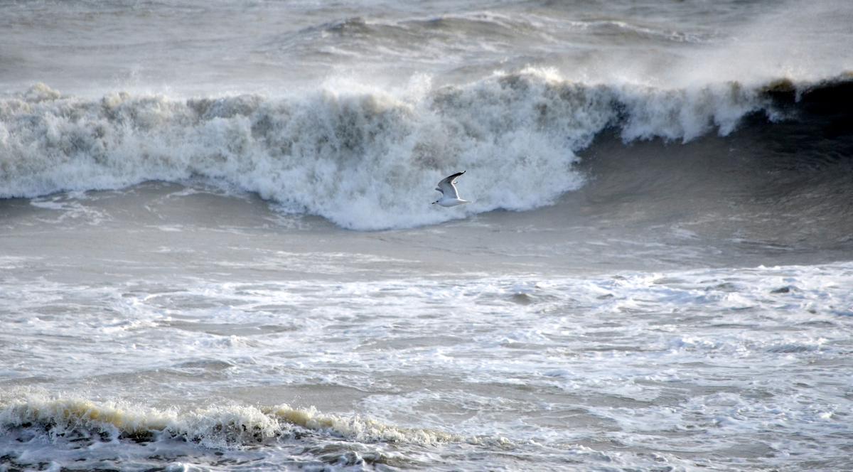 Tragedie la malul mării. Un bărbat s-a înecat