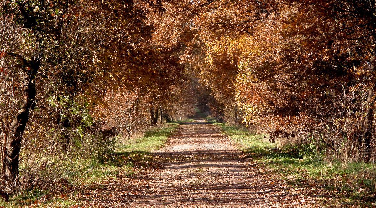 NE LUĂM SANDALELE SAU PUNEM PALTONUL? CUM VA FI VREMEA LUNI ŞI MARŢI