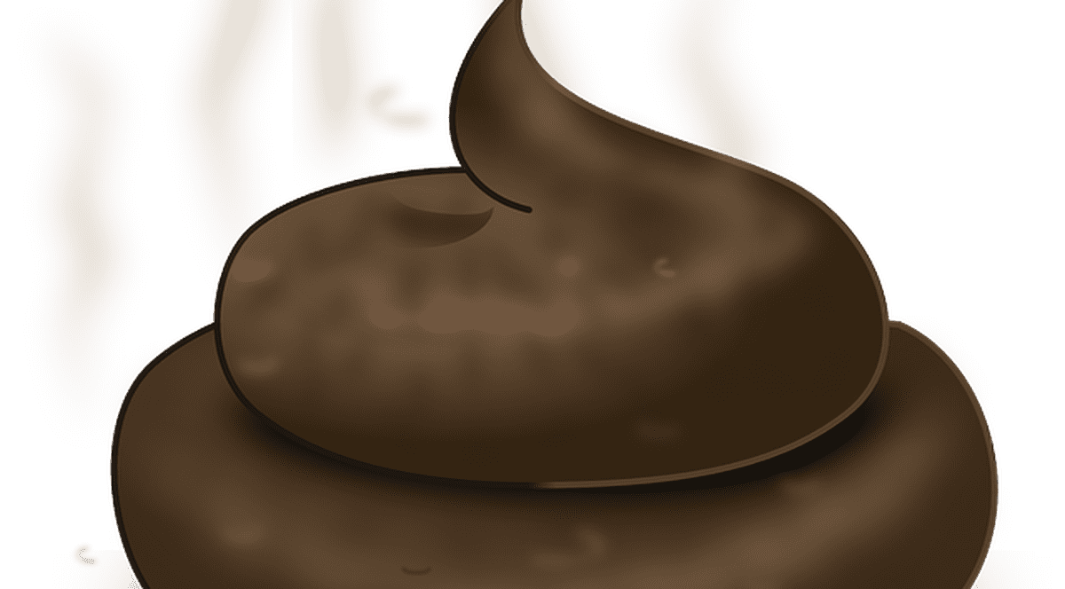 SCÂRBOS sau SĂNĂTOS? Există un loc unde SE PLĂTEŞTE pentru CACA. Faci MAI MULT, primeşti MAI MULT