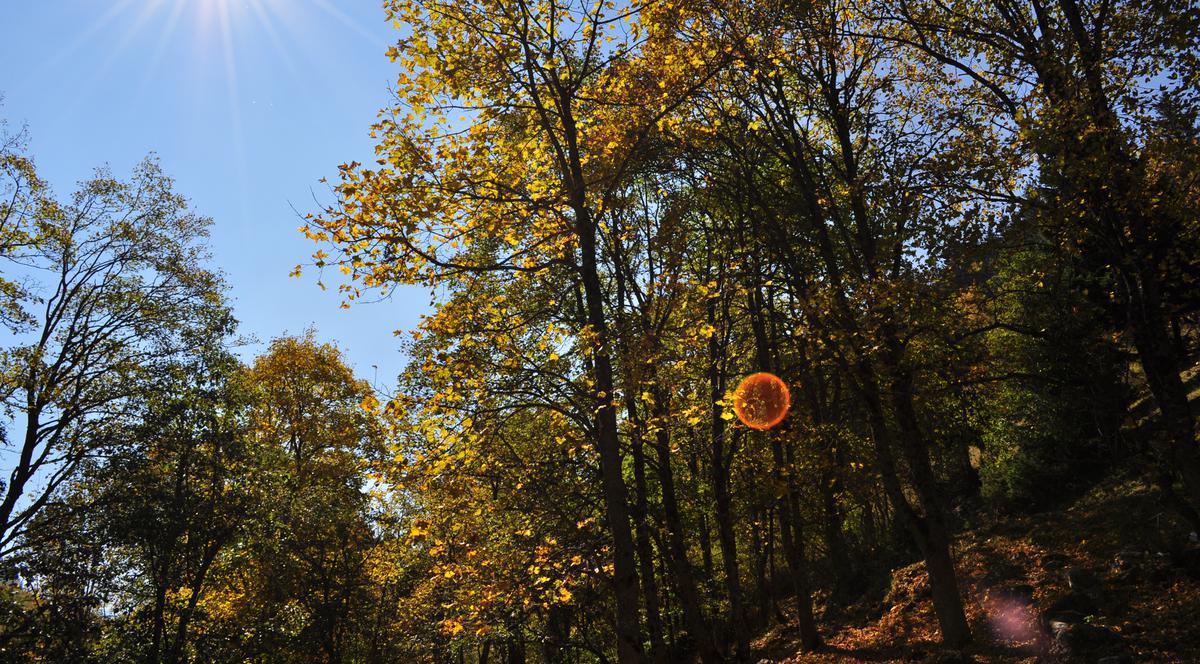 PROGNOZA METEO. Cum va fi VREMEA în URMĂTOARELE 4 zile