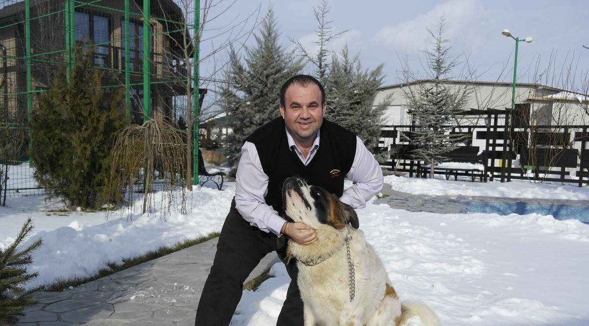 O vedetă de la noi ar vrea să-i facă Saint Bernard-ului său operație de micșorare a stomacului