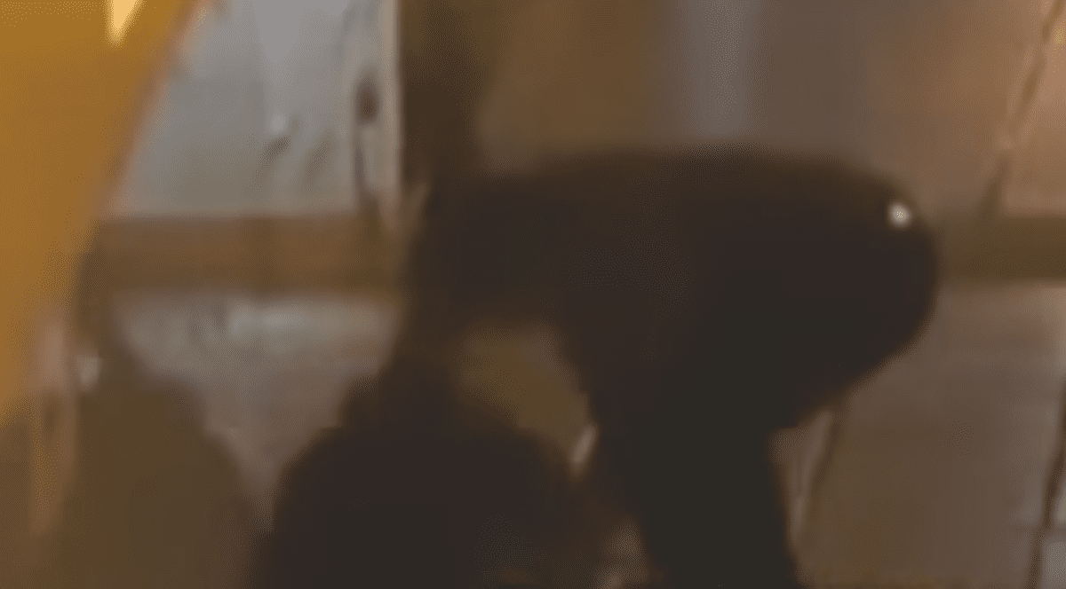 Nebunie în Argentina! Un fotbalist care a jucat în Spania și-a bătut fosta iubită din gelozie, apoi a ajuns la închisoare