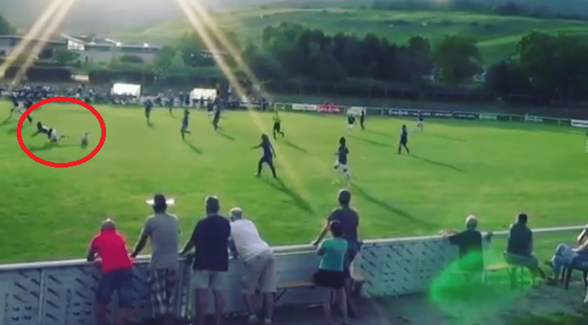 Propunere pentru apărarea dinamovistă: câinele-fundaş, nu trece nimeni de el