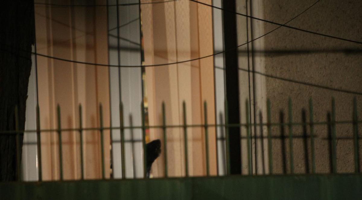 REACŢIE CUTREMURĂTOARE în casa lui VADIM TUDOR. Ce se întâmplă cu unul dintre câinii Tribunului
