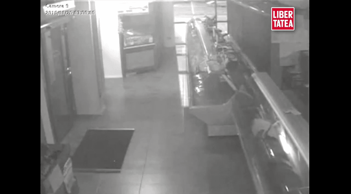 Intrau noapte de noapte în magazin ca în cămară! Vezi cum au golit niște puști rafturile | VIDEO