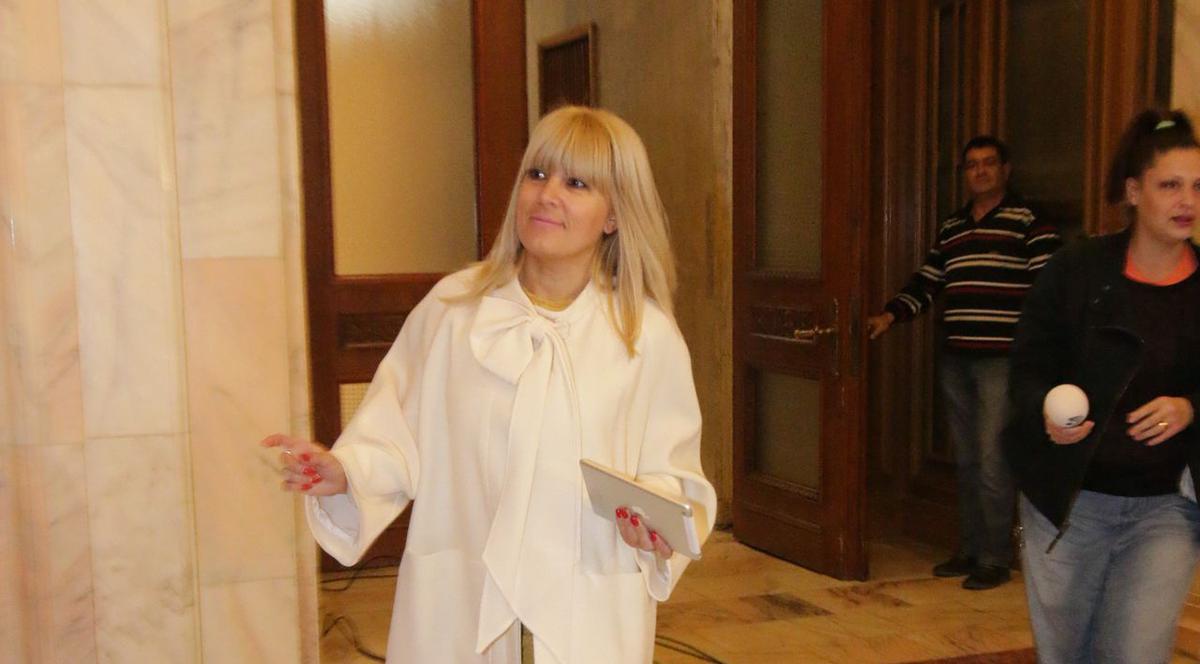 Elena Udrea: ”Cred că România are nevoie de o schimbare de mentalitate colectivă.”