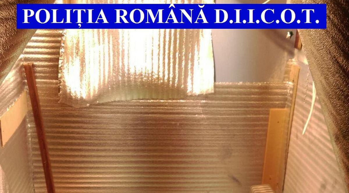 Și-au transformat casa în seră pentru cannabis