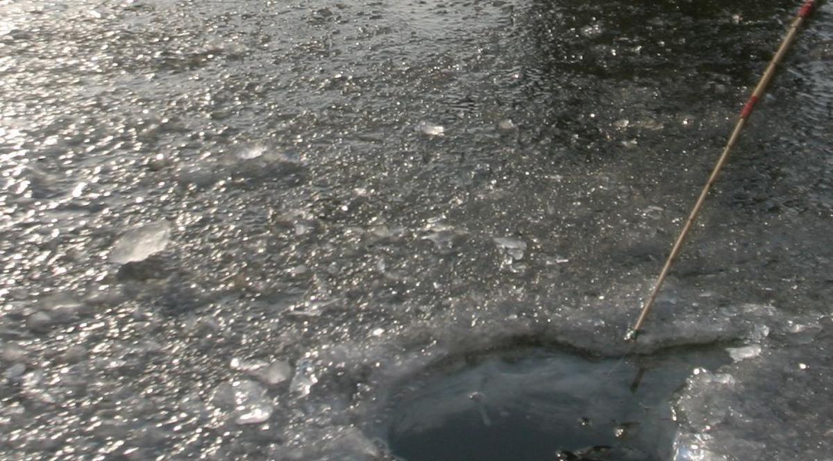 Cod Galben de polei în București și în 11 județe din sudul și vestul țării, în următoarele ore 