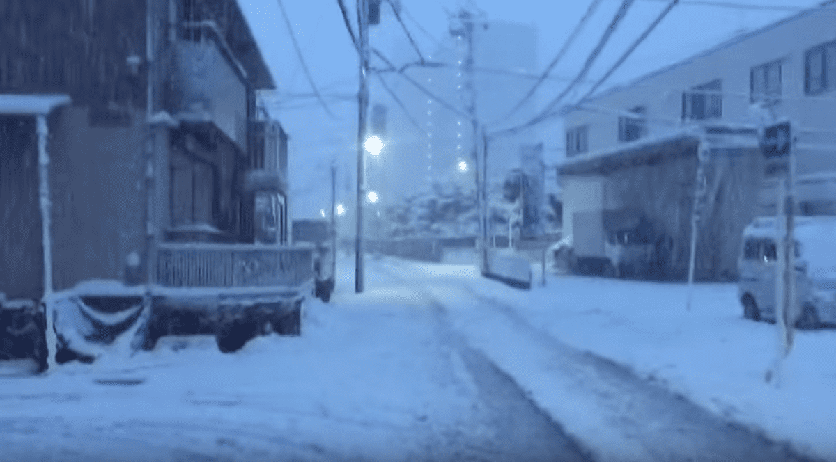 Se întâmplă şi la ei. Zăpada a creat haos şi în mersul trenurilor din Japonia