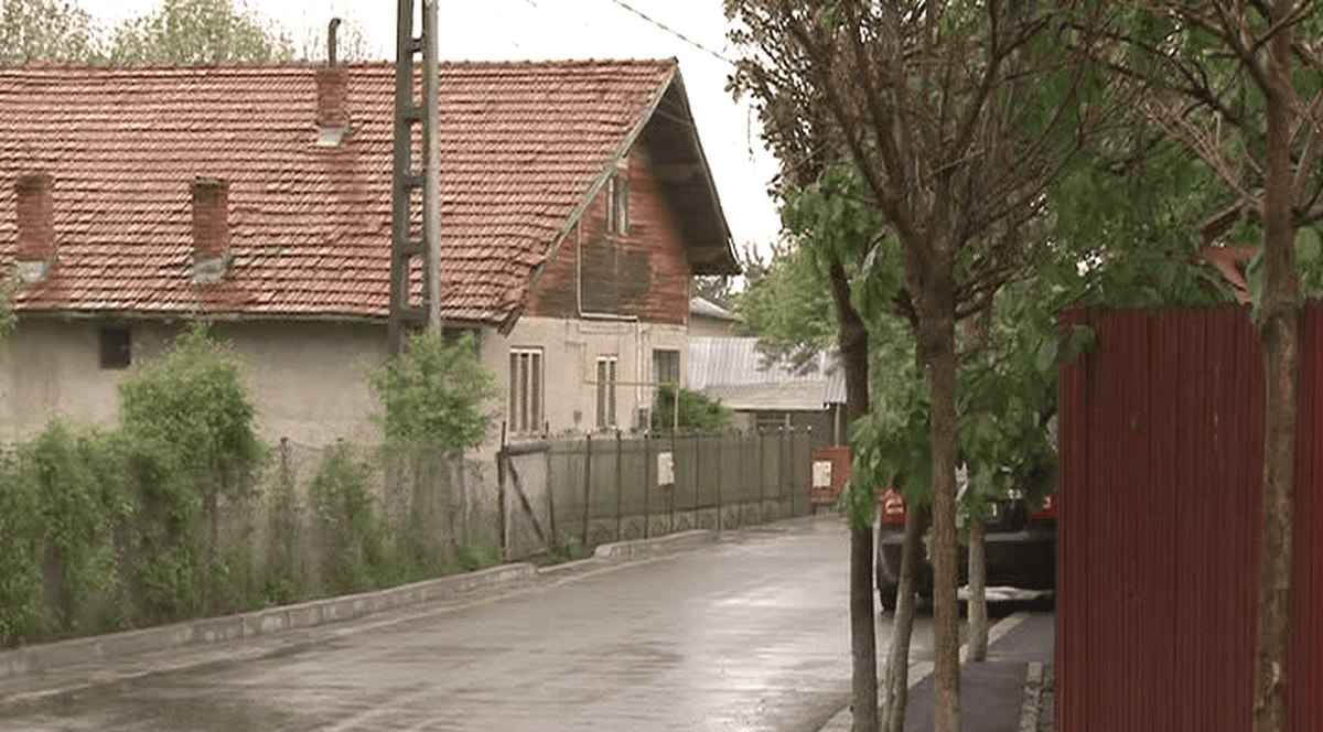 «DOREL» de la Breaza a asfaltat copacii!