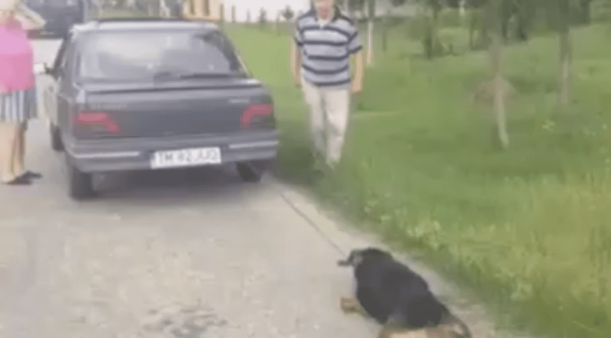 VIDEO Cruzime fără margini | Cum au pedepsit doi pensionari câinele din ogradă!