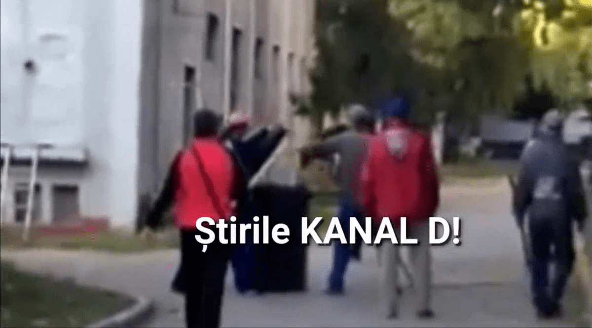 Câini aruncați de hingheri la tomberon