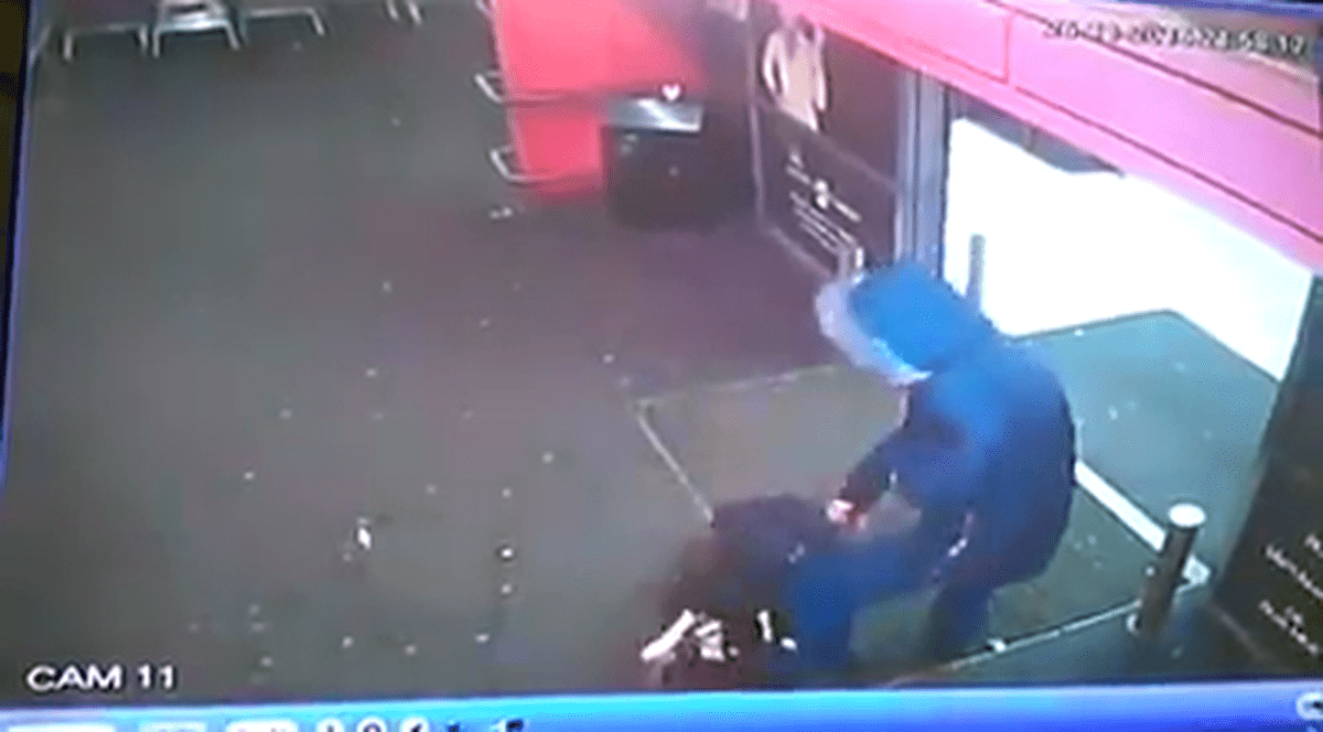 Ce antecedente are bărbatul care și-a asmuțit câinele pitbull pe o pisică