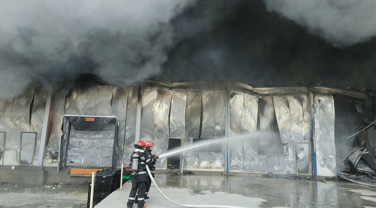 Incendiu puternic la o fabrică de mezeluri din județul Alba