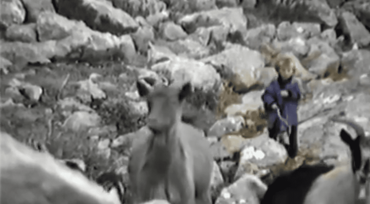 Luka Modric, căpitanul Croației, ducea caprele la păscut în copilărie | VIDEO