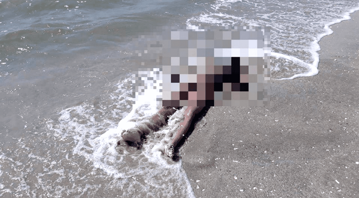 Cadavrul unei femei a fost adus de valuri la mal, la Mangalia. Cadavrul unei persoane înecate, pe litoral