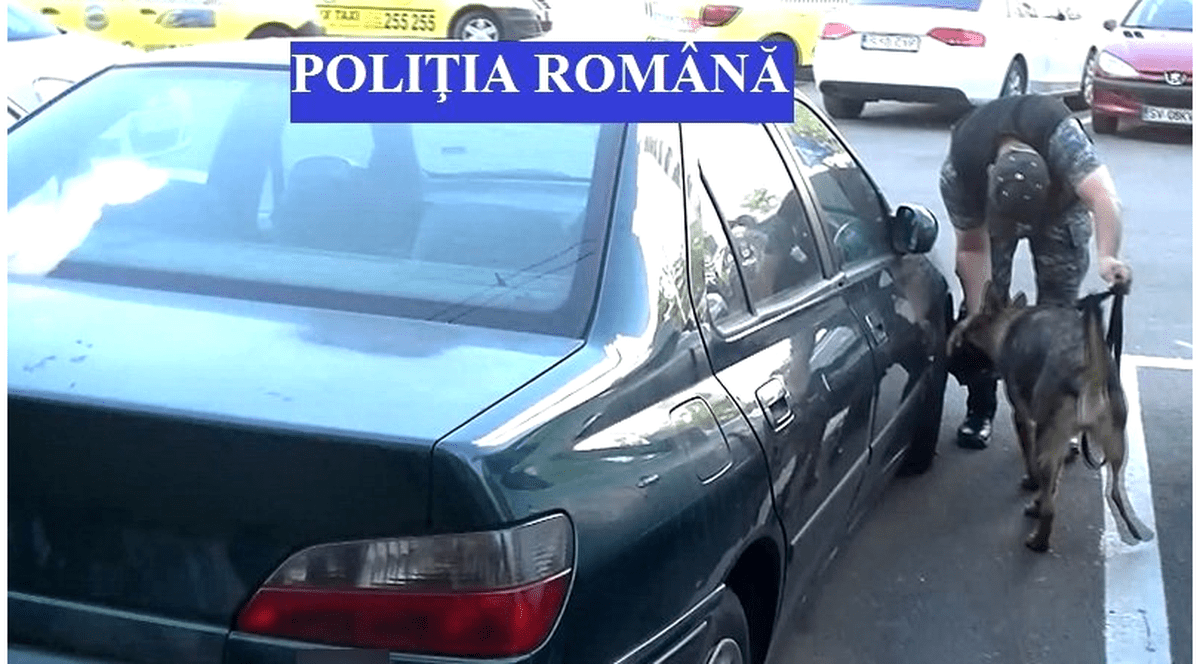 Țigări de contrabandă au fost descoperite de un câine polițist, într-o piață din Iași. Acada le-a mirosit din portbagaj
