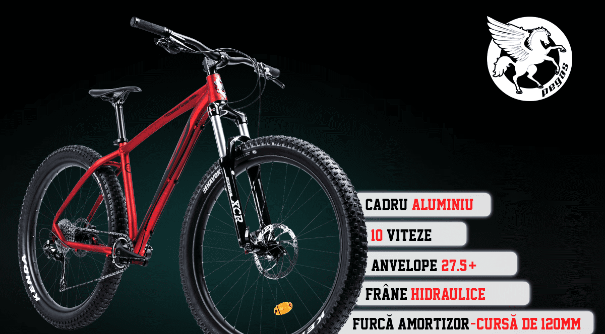 (P) Bicicleta cu care strabati rapid orasul fara sa transpiri