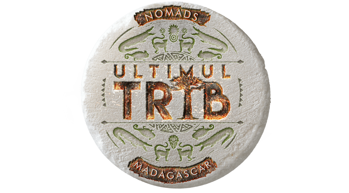 Când începe Ultimul Trib, show-ul difuzat de Antena 1