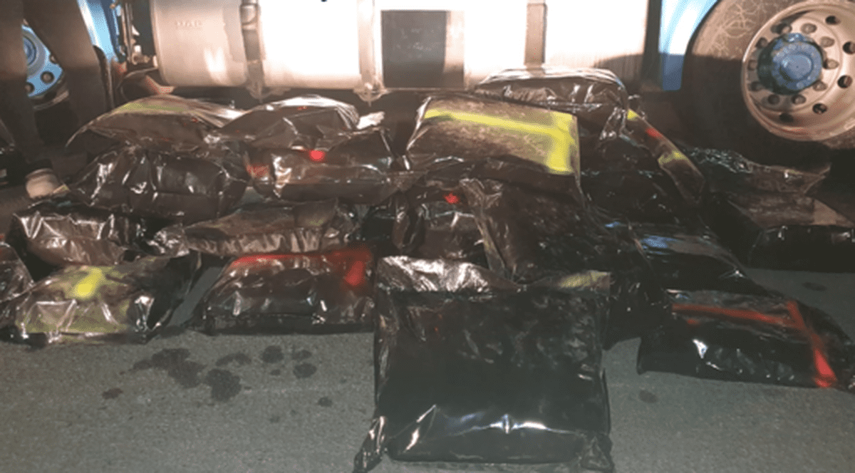 Procurorii din Neamț au găsit droguri în valoare de 500.000 de euro la un bărbat