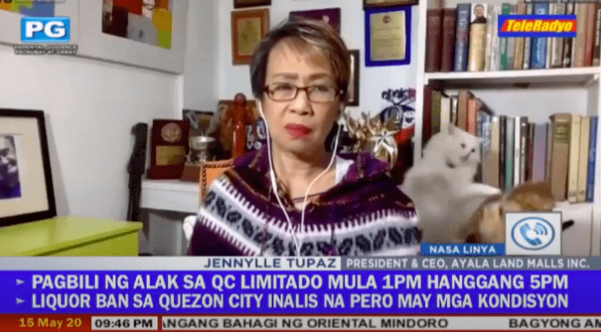 VIDEO VIRAL | Jurnalistă din Filipine, întreruptă în timpul unei transmisiuni de acasă, de pisicile care se luptau în spatele ei