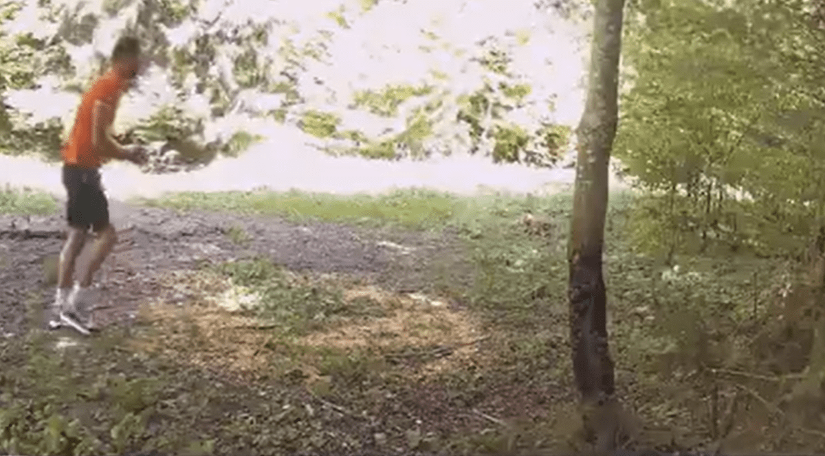 VIDEO| Imagini incredibile în Neamț. Un bărbat se hrănește cu mâncarea urșilor