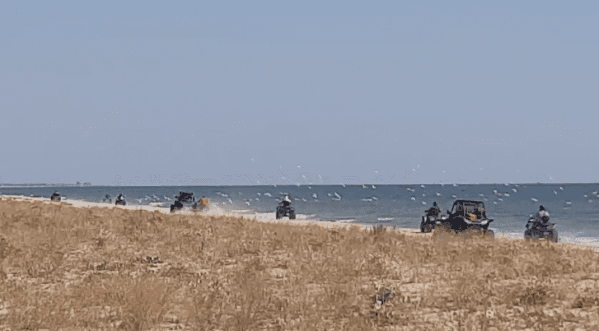 VIDEO | Cu ATV-urile într-o zonă protejată de lege. Turiștii care s-au distrat astfel riscă amenzi foarte mari, dacă sunt identificați