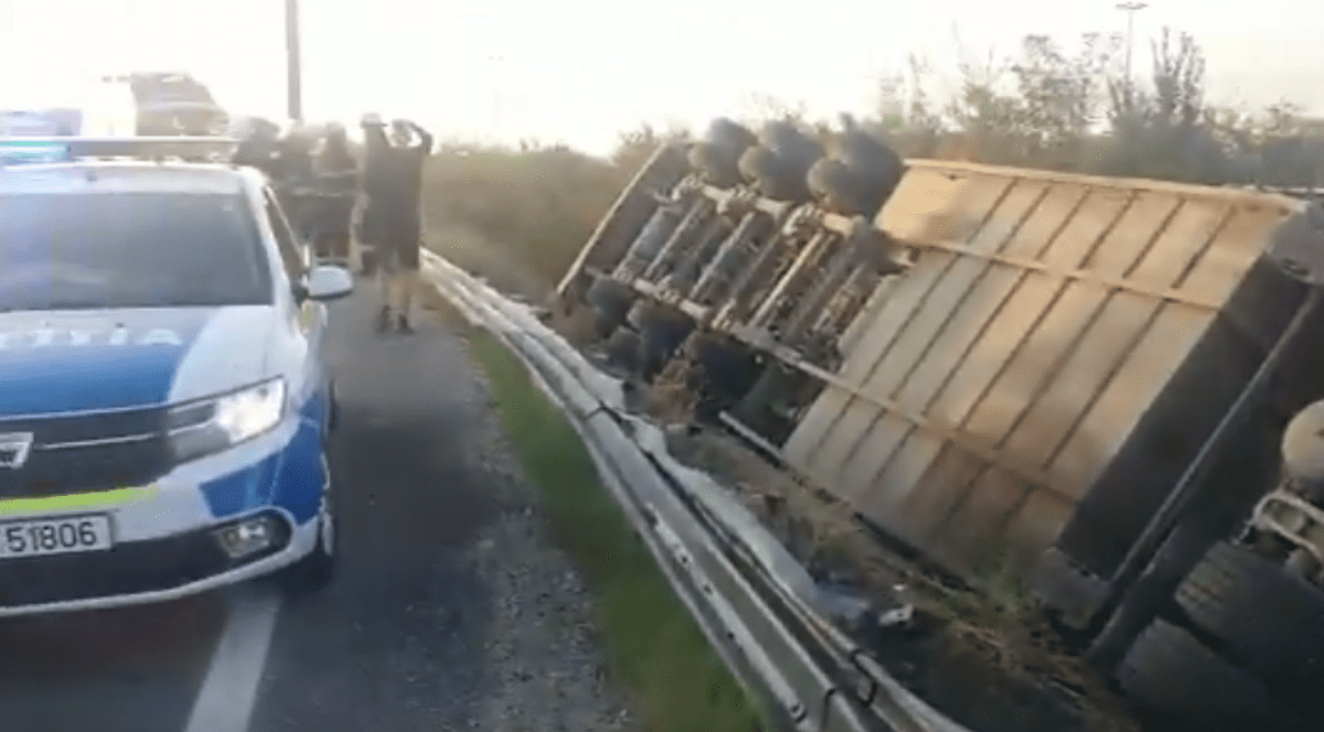 VIDEO | Un camion încărcat cu 200 de porci s-a răsturnat la Pitești, la intrarea pe A1