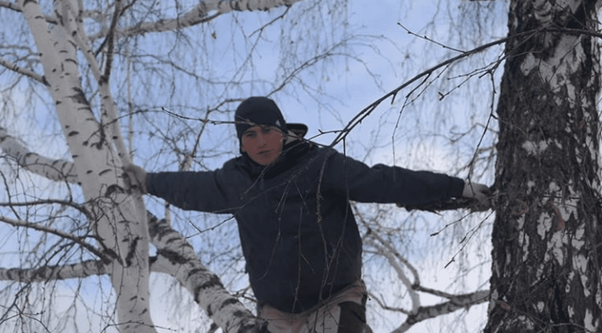 VIDEO  | Cum se învaţă online în Siberia: “Mă urc într-un mesteacăn de 8 metri înălţime, pentru semnal”