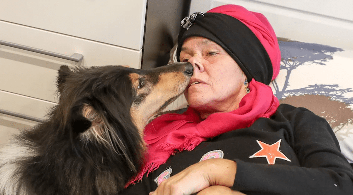 Câinii de terapie pe care îi antrenează i-au salvat viața de trei ori. Povestea emoționantă a nemțoaicei Filiz Erfurt