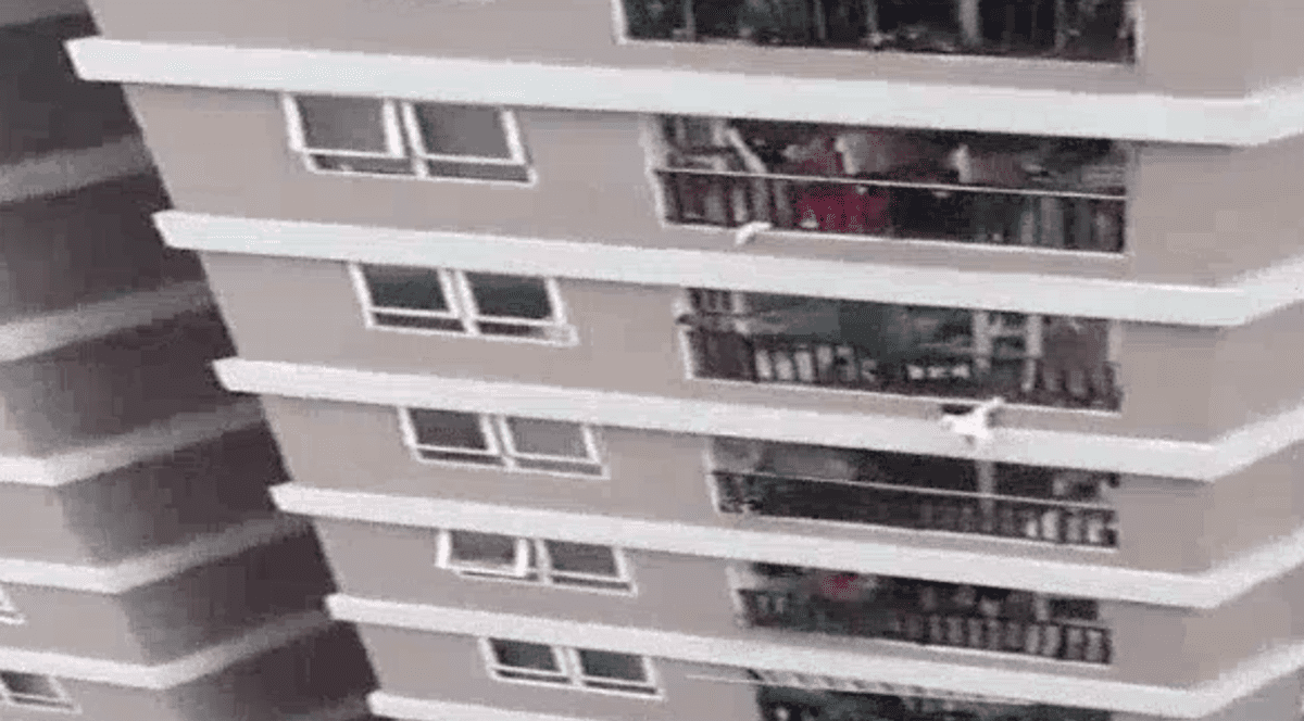 Imagini șocante în Vietnam. O fetiță de doi ani care a căzut de la etajul 12 al unui bloc, salvată de un curier, care a prins-o în brațe