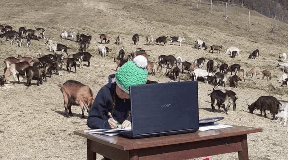 Fiammetta Melis sursa foto: Profimedia