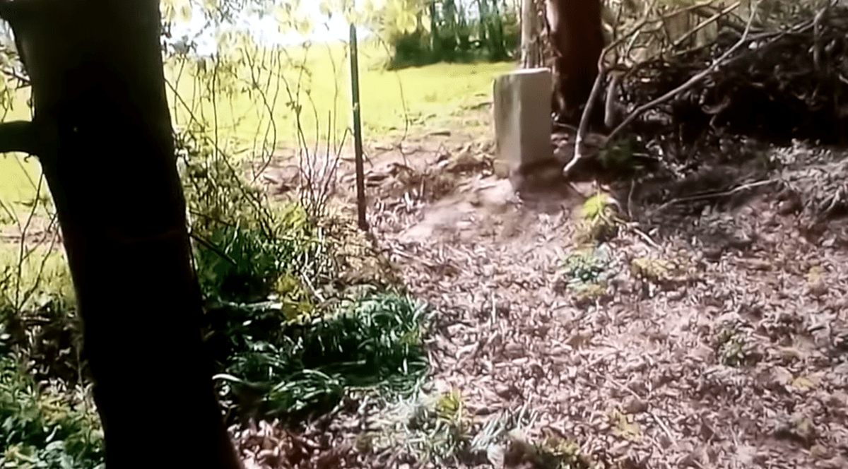 Un fermier belgian a mutat din greșeală granița cu Franța. „Ar trebui evitat un nou război la graniţă”