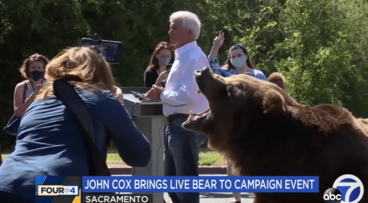 Un candidat la postul de guvernator al Californiei şi-a făcut campanie electorală cu un urs brun