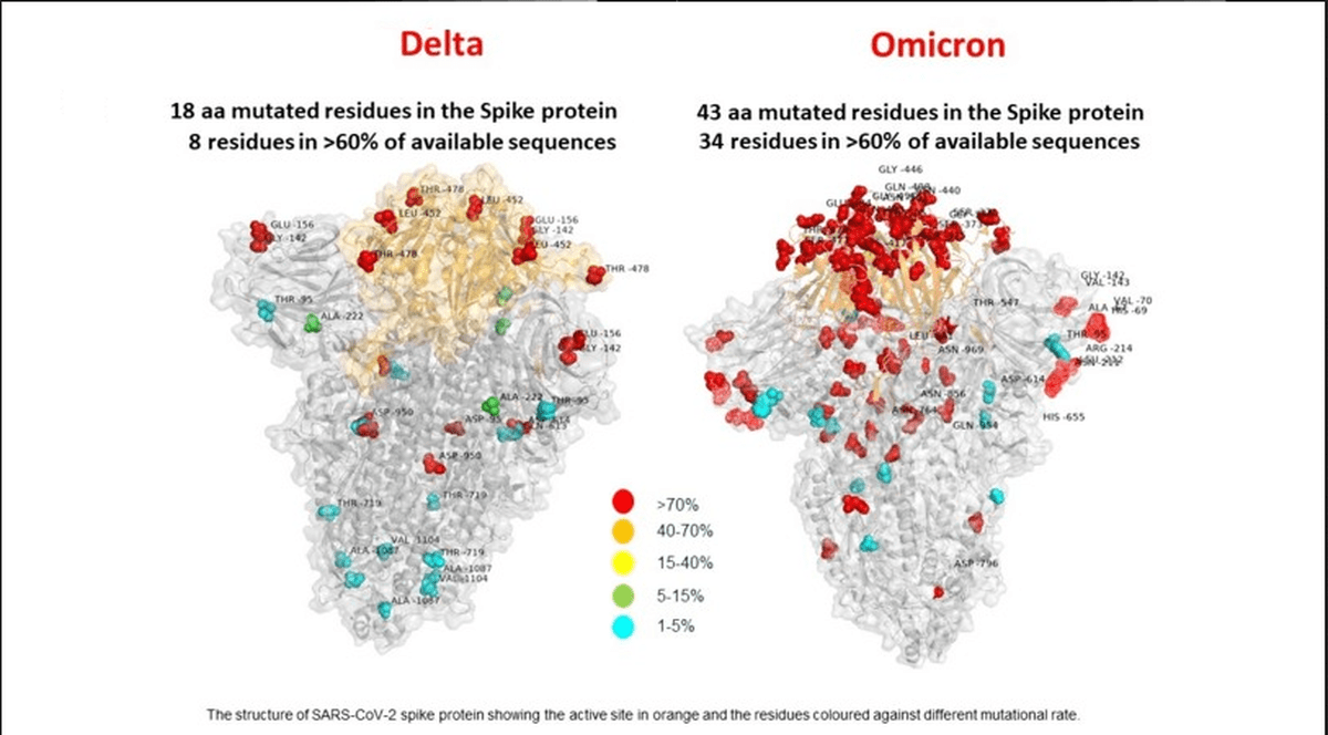 Prima imagine a variantei Omicron arată mai multe mutații decât la varianta Delta. Ce spun cercetătorii