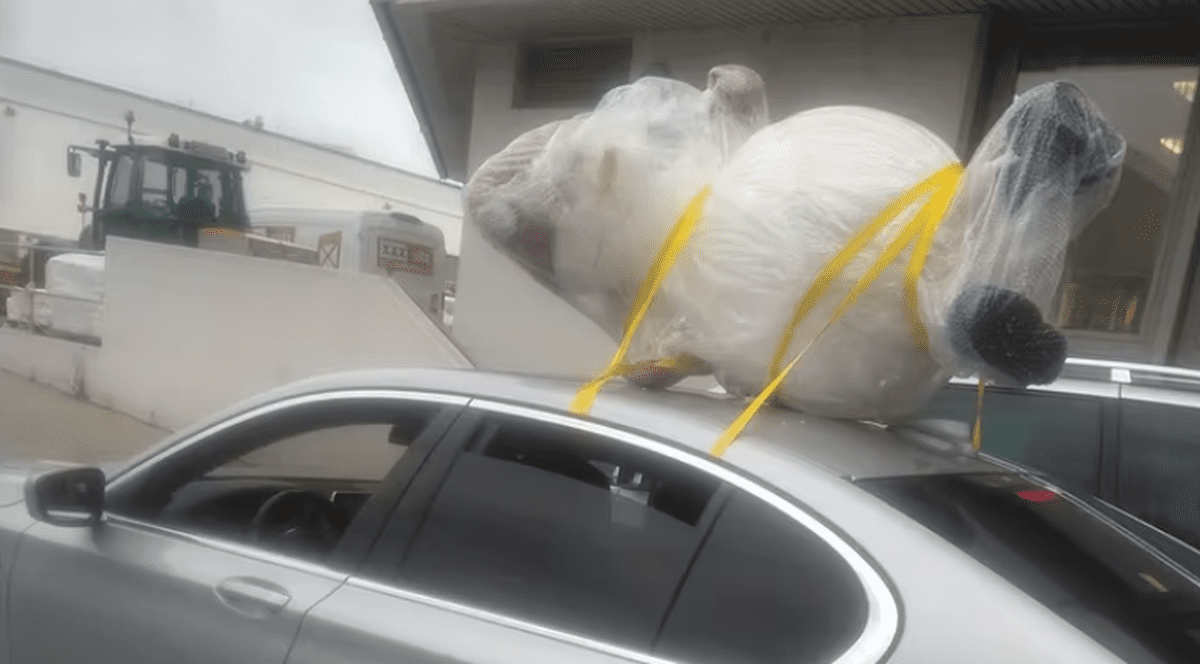 Cu omul de zăpadă pe mașină, în Austria. „Rareori am mai văzut ceva atât de amuzant”