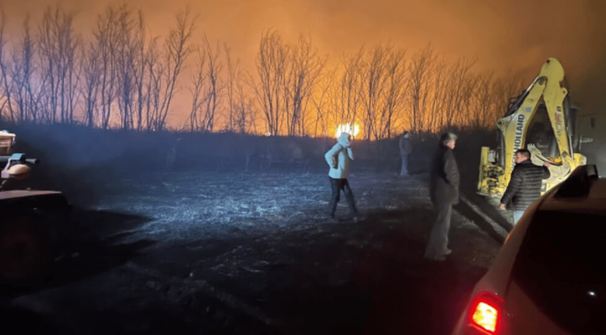 Incendiu de proporții, de vegetație uscată, în Dolj. Intervin patru autospeciale de pompieri