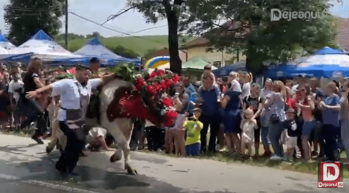 VIDEO | Momentul în care un bărbat a fost trântit la pământ de un bou, la un festival din Cluj