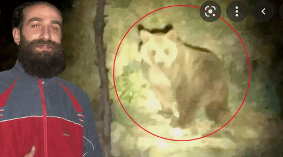 Înregistrare virală cu un profesor de muzică din Turcia care alungă un urs cântând o arie de Mozart