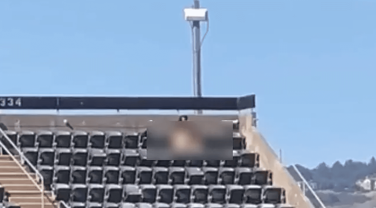 Ce a făcut un cuplu care se plictisea în tribună, în timpul unui meci de baseball din SUA. Riscă șase luni de închisoare