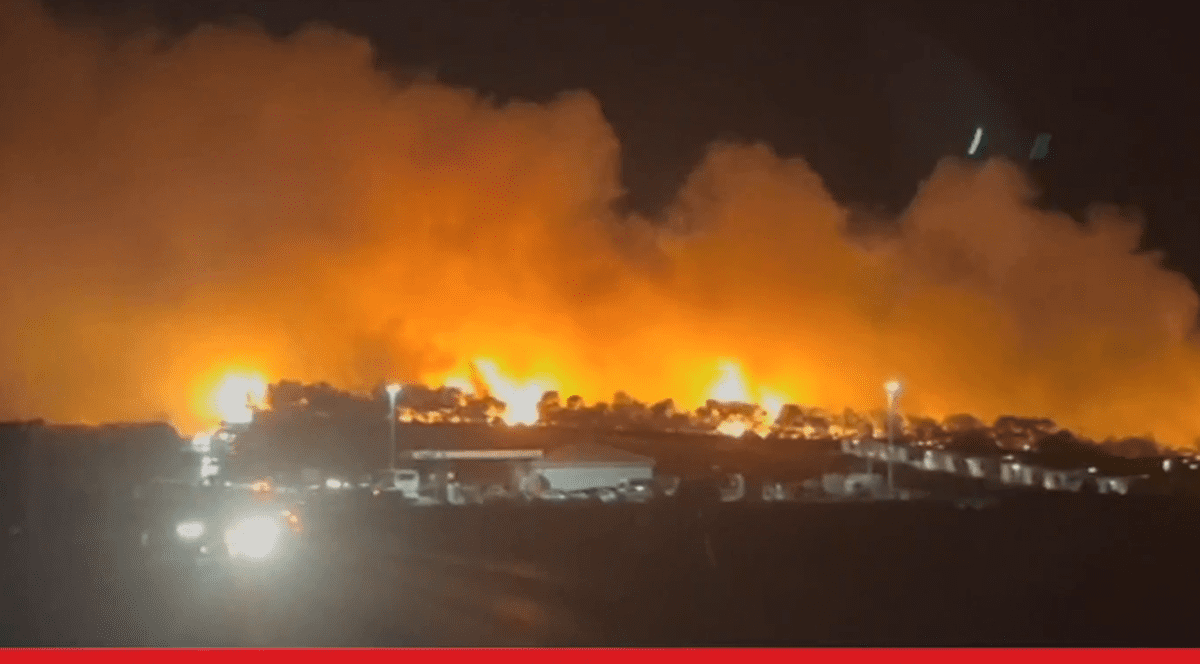 Mii de petrecăreți din cluburile de noapte de pe insula croată Pag, evacuați după ce o pădure de pini a luat foc