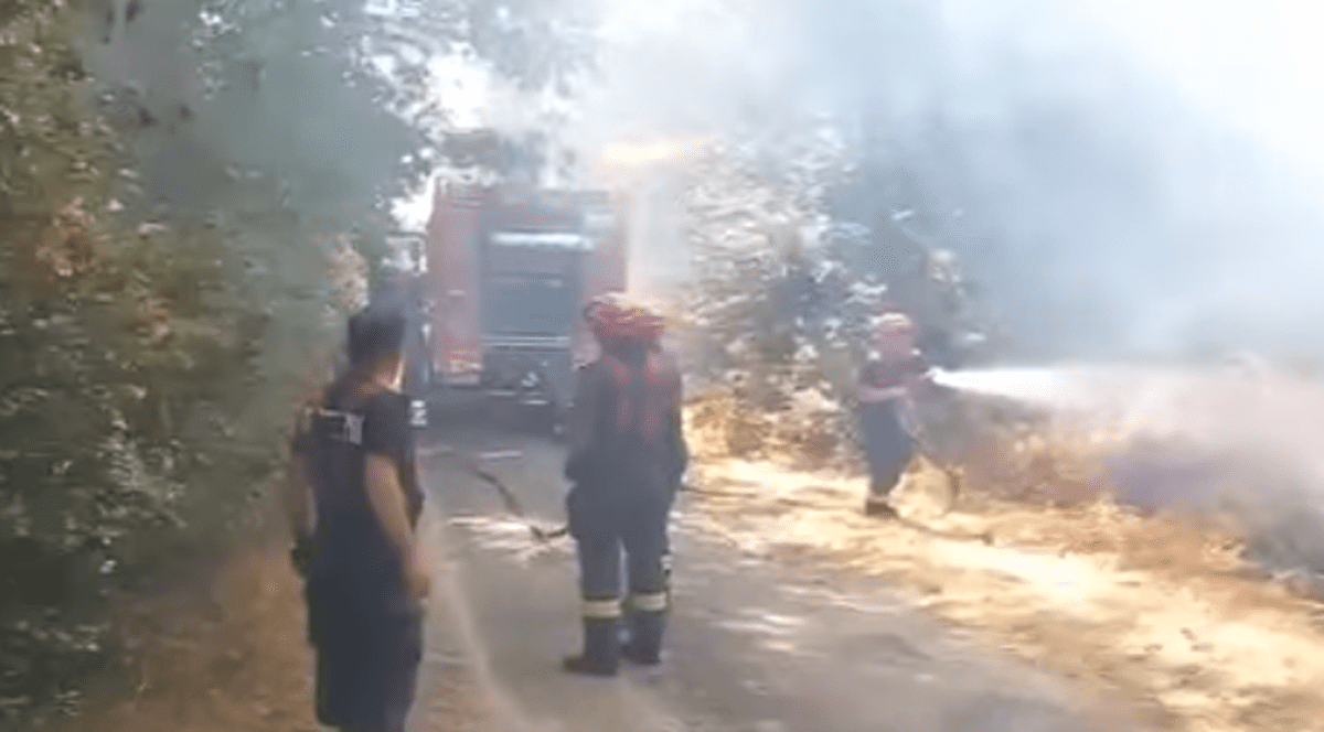 Prima misiune a pompierilor români trimiși să ajute Franța în lupta cu incendiile. Unde au intervenit